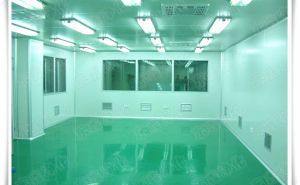 生物凈化工程，【東鑫凈化】為您消除有害病菌